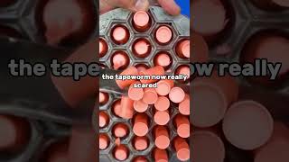 The tapeworm in fear viralvideo funny jokes funnyvideo plot [upl. by Revert]