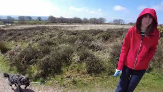 Walk up Dunkery Beacon Exmoor [upl. by Negeam]