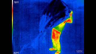 Low Tech Method to Defeat a Bolometer FLIRThermal Imager [upl. by Strong]