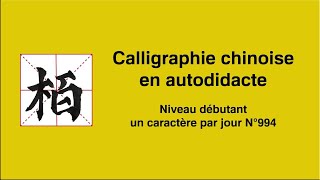 Calligraphie chinoise un caractère par jour n°994 柏 cyprès [upl. by Anillehs]