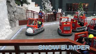 Walk through Ski Dubai Snow Park [upl. by Iblok97]