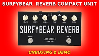 SURFYBEAR Spring Reverb COMPACT Unit • Unboxing amp Demo [upl. by Addiego620]