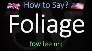 How to Pronounce Foliage CORRECTLY Meaning amp Pronunciation [upl. by Averyl980]