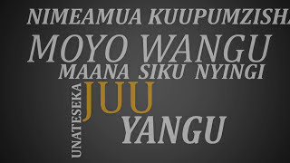 Lameck Ditto  Moyo Sukuma Damu Official lyric Video [upl. by Assej752]