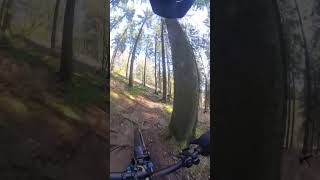 Great MTB Trail [upl. by Emlynn]