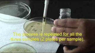 Inuse test for disinfectants [upl. by Enyaz113]