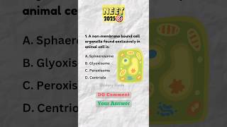 NEET Biology Question Practice shorts neet youtubeshorts [upl. by Mide]