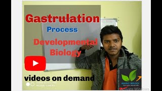 Gastrulation Process Developmental Biology part3 [upl. by Ashwin]