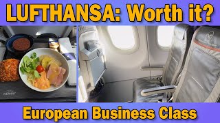 Lufthansa European Business Class Is It Worth It [upl. by Bbor]