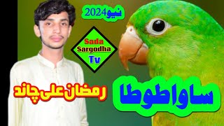 Sawa Tuta Singar Ramzan Ali Chand New Program video Official Sada Sargodha tv [upl. by Aliakam206]