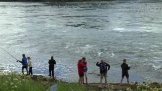 Saltstraumen 7 Juli 2016 Norwegian Nature Panasonic Camera [upl. by Nelram]