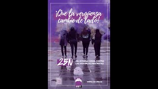 RNtv movilización feminista 25N [upl. by Refotsirc797]