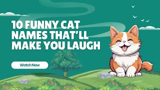 10 Funny Cat Names That’ll Make You Laugh [upl. by Etrem]