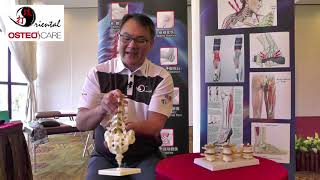 Osteocare Lower Back Pain Explanation by Sifu Erik Leong [upl. by Yleve]