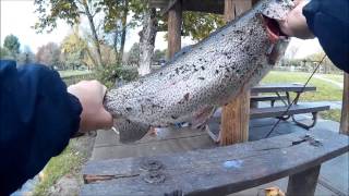 Trout Fishing at Oak Grove Park [upl. by Winslow]