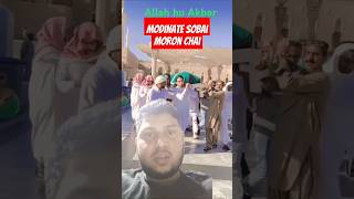 Modinate sobai moron chai islam greenscreen death [upl. by Helm130]