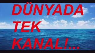 OTOBÜSLER 29 KASIM 24 BURSA TERMİNAL VİDEO NO 34200 [upl. by Sollars]