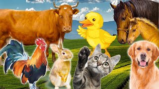 Learn Family Animals Cat Horse Cow Chicken Duck  Farm Animal Sounds  Part 2 [upl. by Gainer]