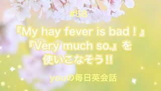 【58】『My hay fever is bad！』や『Very much so 』を使った日常会話例２選‼︎ [upl. by Luwana]