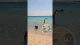 Hurghada  مدينة الغردقة  Pyramisa Beach Resort Sahl Hasheesh PART 1 shorts [upl. by Nnylaehs67]