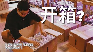 这是一支简单的开箱视频 Plant Boxes Opening [upl. by Keith683]