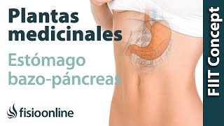 Todas las plantas medicinales para estómago y bazopáncreas [upl. by Nyhagen]