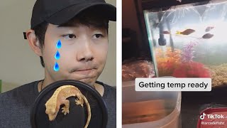 HOW TO PREPARE YOUR NEW FISH TANK TikTok  Fish Tank Review 118 [upl. by Piggy]