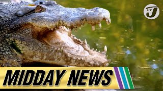 43 Guns Hidden in 5 Barrels  Crocodile Meat Found in Restaurant tvjmiddaynews [upl. by Axe]