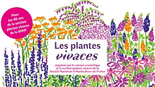 Les plantes vivaces Les sauges astuces tours de main conseils pratiques pour une culture réussie [upl. by Dam744]