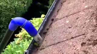 Swansea Gutter Cleaning with Skyvac [upl. by Sherill271]