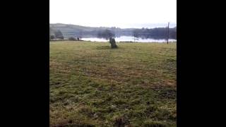 Keek uploading test Crannog and prehistoric standing stone Loughbrickland Ireland [upl. by Ilak955]