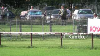 Whippet Saluki Basenji and Italian Greyhound racing Kuninkuusjuoksut  Finaalit [upl. by Buckley]