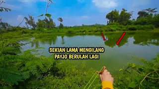 OBAT RINDU‼️KETAPEL IKAN LAMA TIDAK BERJUMPA [upl. by Hnad473]