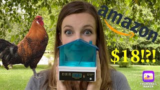 Testing the Cheapest Egg Incubator on Amazon  18 Incubator Hatching Rare Eggs [upl. by Leonor]