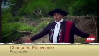 Chaqueño Palavecino  Pilcomayeño Oficial [upl. by Dylane]