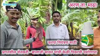 बालाजी सावंत यांची केळी पिकाची यशोगाथा अरण ता माढा जि सोलापूर केळी agriculture farmer [upl. by Atirak]