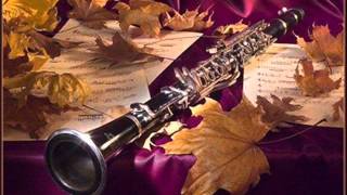 JStamitz quotConcerto per Clarinetto e Orchestraquotin Sib Maggiore Solista LLettiero [upl. by Andrei791]