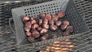 From the Pit How to Roast Chestnuts on an Open Fire [upl. by Lorien]