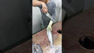 How To Take The bones Off Of Trout [upl. by Anegroeg]