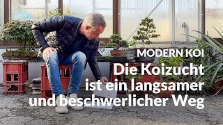 Welche Ziele hat Makoto noch in der Koizucht  Modern Koi Blog 7018 [upl. by Golda]