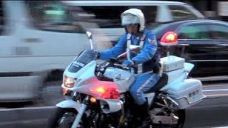 警視庁 交機 白バイ 緊急走行 追跡 妨害される Police motorcycle [upl. by Far]