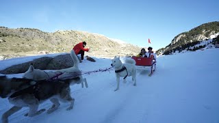 CREAMOS UN TRINEO PARA NUESTROS HUSKIES SIBERIANOS  no te lo vas a creer  Salva [upl. by Kean]