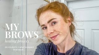 Powder Brows Healing Process  What To Expect [upl. by Gar109]