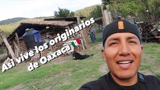 Asi vive los Mixtecos en Oaxaca Mexico 🇲🇽 un dia normal en el Rancho de Oaxaca Mexico 🇲🇽 [upl. by Etnovaj]