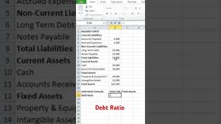 Financial Analysis  Debt Ratio Explained [upl. by Haonam]