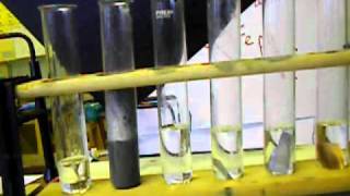 Y10 Reactivity Series Reacting metals with dilute acid  P2 of 2  ALUMINIUM [upl. by Puklich677]