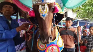 Kuda Renggong Sunatan Heboh  Dancing Horse [upl. by Aiken33]