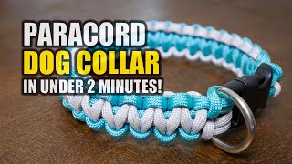 Make a Paracord DOG COLLAR in UNDER 2 MINUTES [upl. by Nogaem]