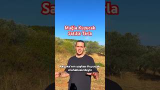 MUĞLA MENTEŞE KUYUCAK 878 M2 SATILIK TARLA  emlak gayrimenkul arsa tarla [upl. by Maccarthy]