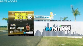 CD ARROIO DO SALESPECIAL FIM DE ANO 30DJ PATINHO [upl. by Scutt]